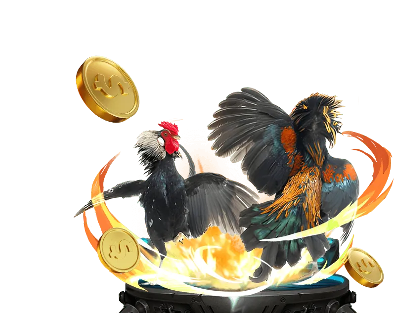 Khái niệm chơi có trách nhiệm tại win55 ong